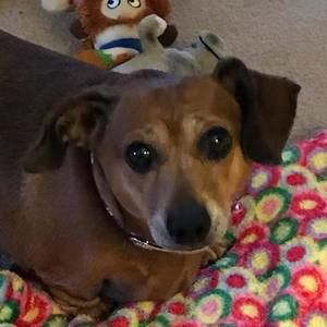 Meet your Posher, Donna